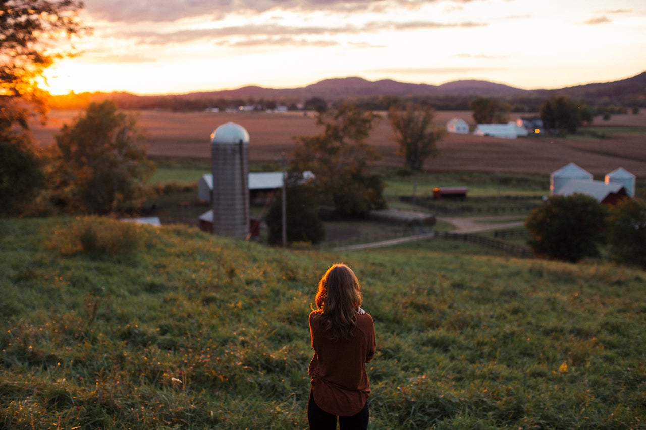 Regenerative Farming Is Rising and Hemp Is Leading the Movement